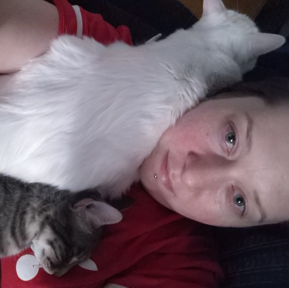 Meet your Posher, Kira - Picture 5 of 7